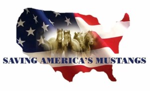 Saving America's Mustangs