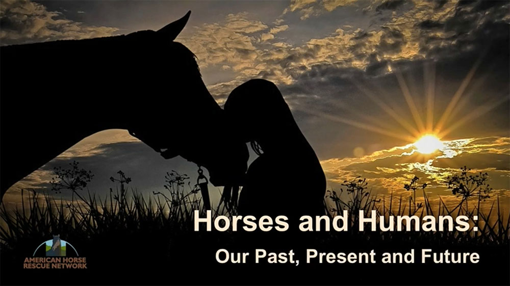 Read more about the article Horses and Humans : Our Past, Present & Future