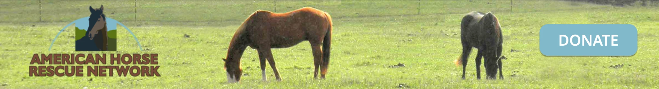 American Horse Rescue Network